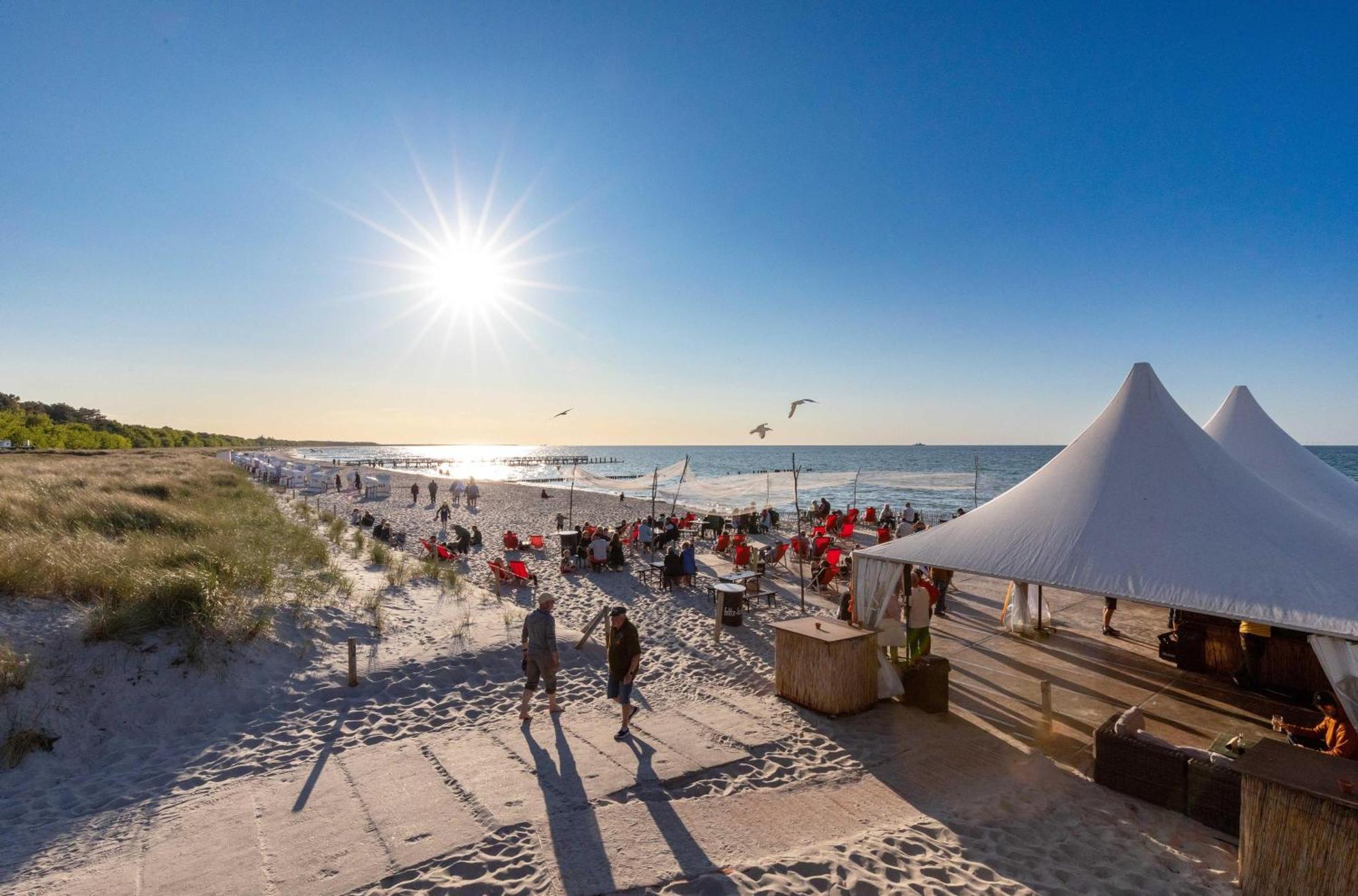 Krosse Krabbe An Der Seebruecke Zingst Bagian luar foto